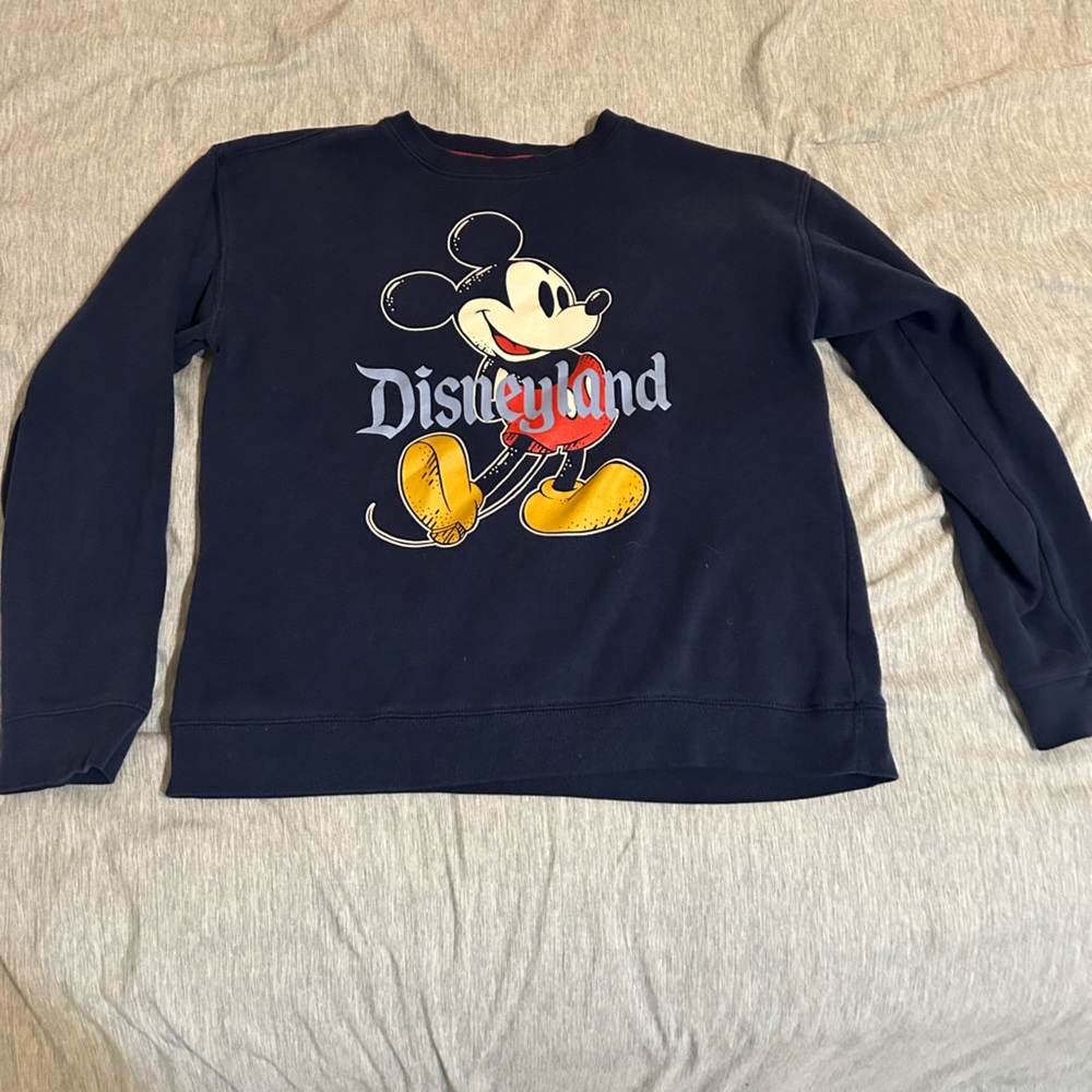 Disneyland sweatshirt.